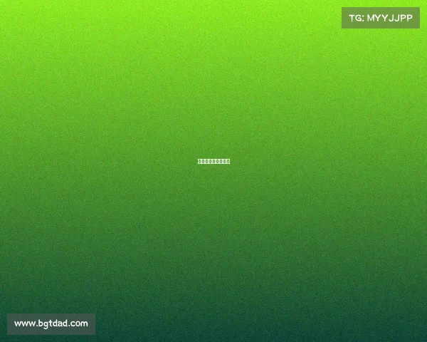 江西省电子电脑大赛